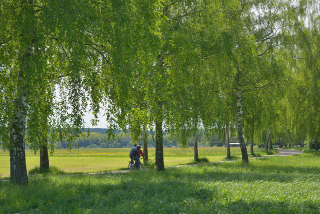 Radwanderweg an der Donau